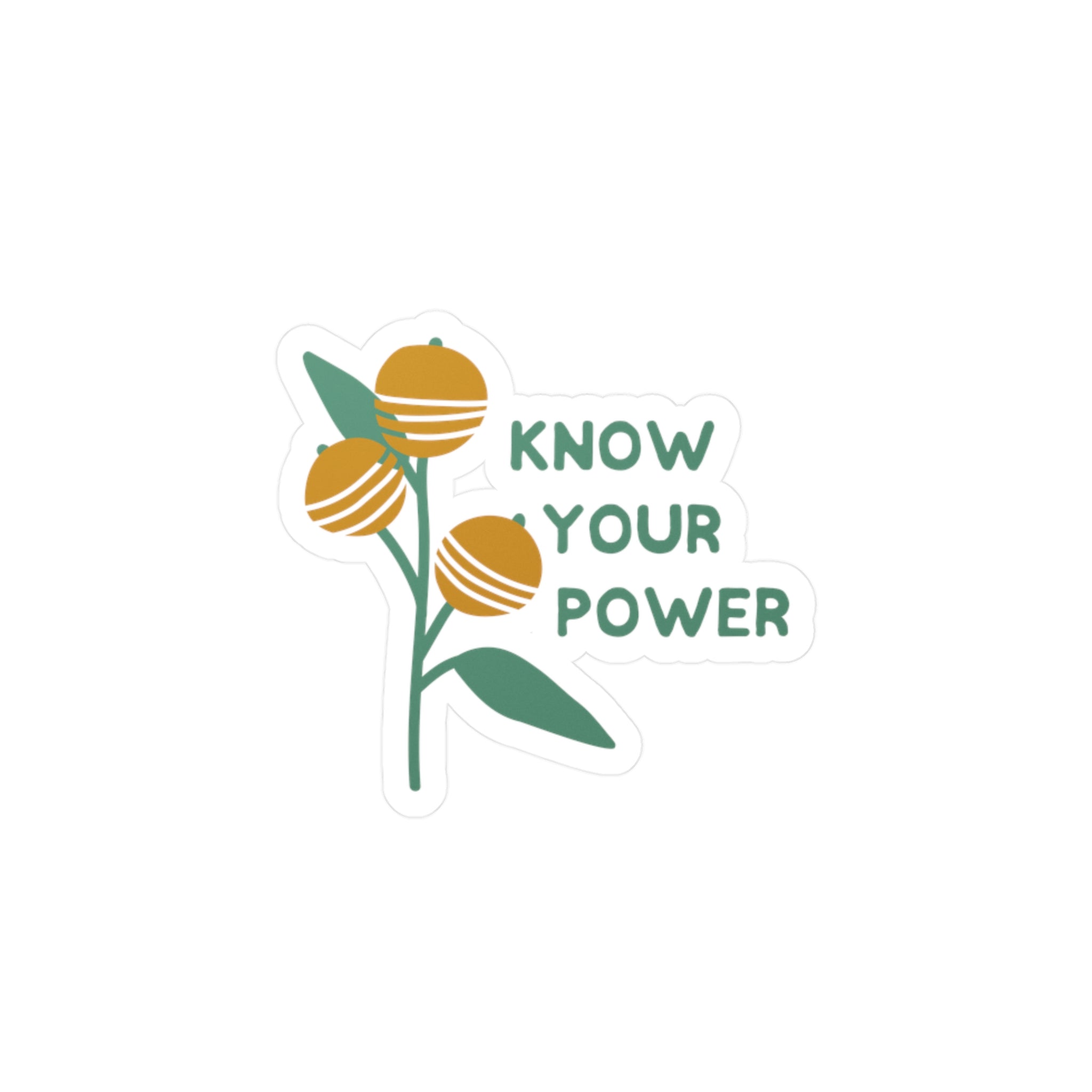 Know Your Power Sticker – Chronically Humored x Shop Intaglio, Auntie Spoonie Empowerment Decal, Chronic Illness & Neurodivergent Affirmation