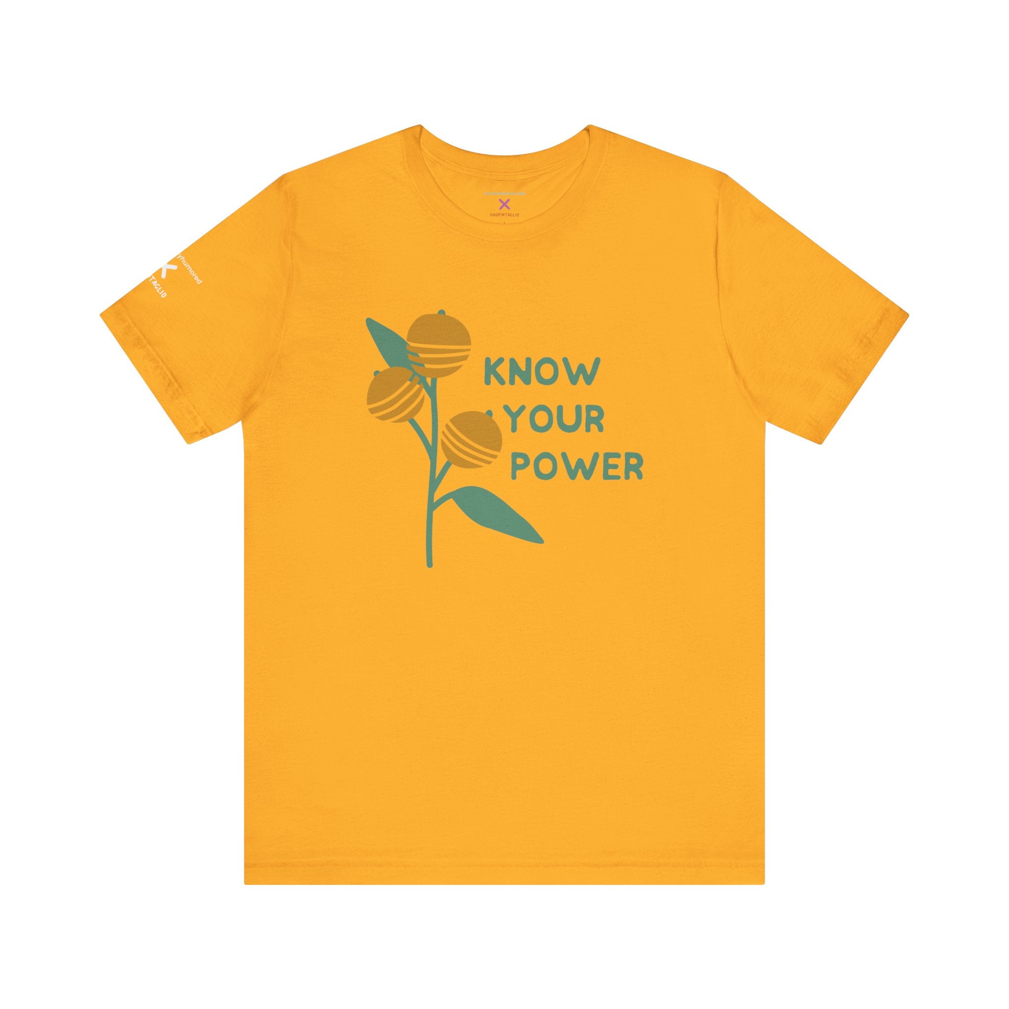 Know Your Power Tee – Chronically Humored x Shop Intaglio | Feminist & Disability Empowerment Shirt (Bella Canvas 3001, XS–4X in Select Colors)